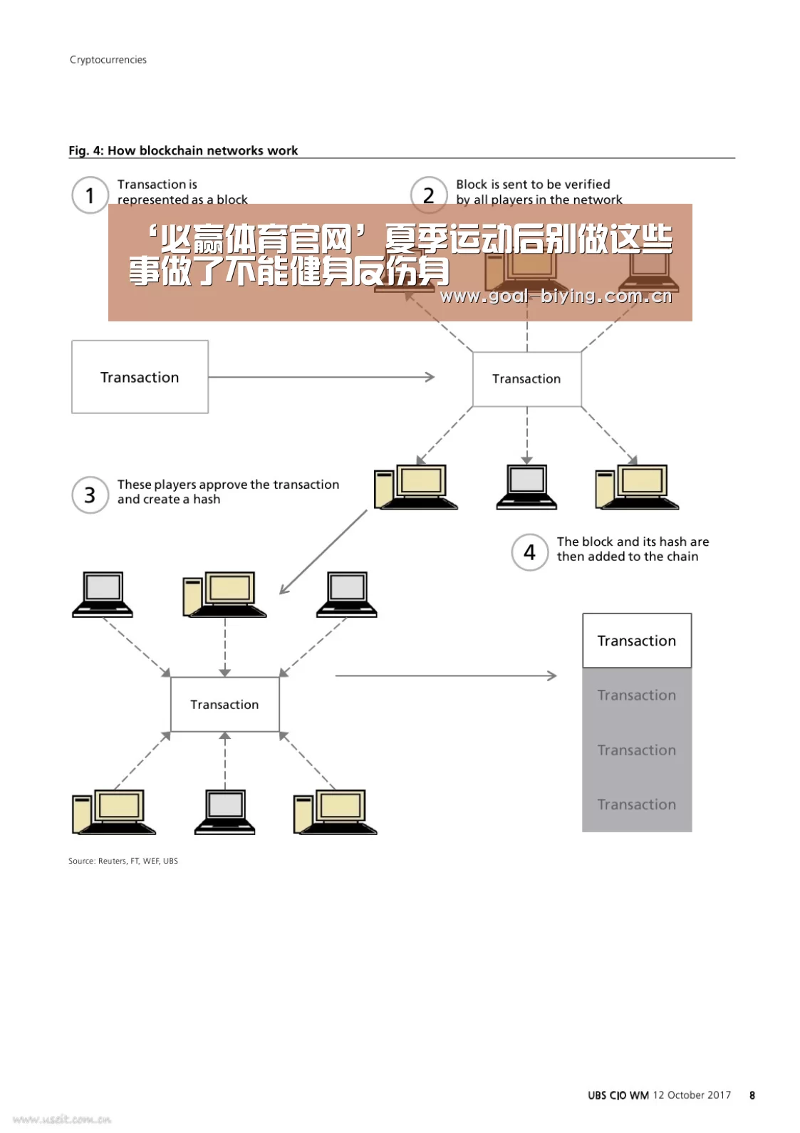 必赢体育官网