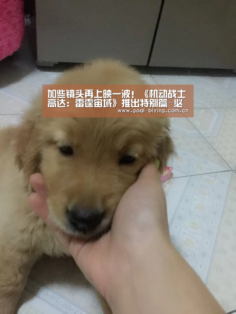 加些镜头再上映一波!《机动战士高达:雷霆宙域》推出特别篇-必赢亚洲网站(图1) 必赢亚洲网站