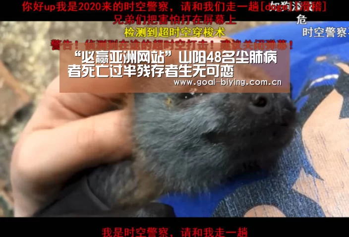 必赢体育官网