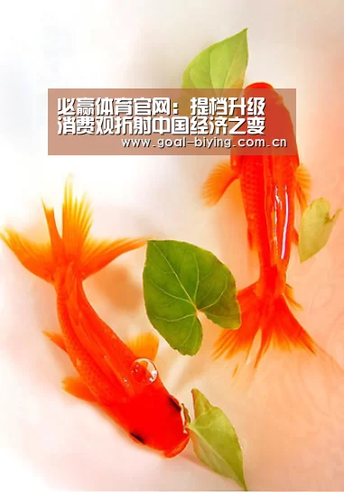 必赢体育官网