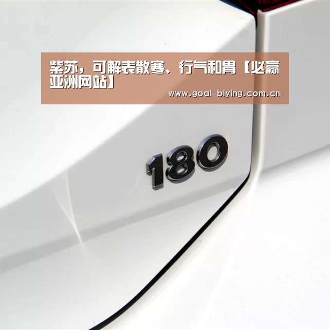 紫苏,可解表散寒、行气和胃【必赢亚洲网站】(图2) 必赢亚洲网站