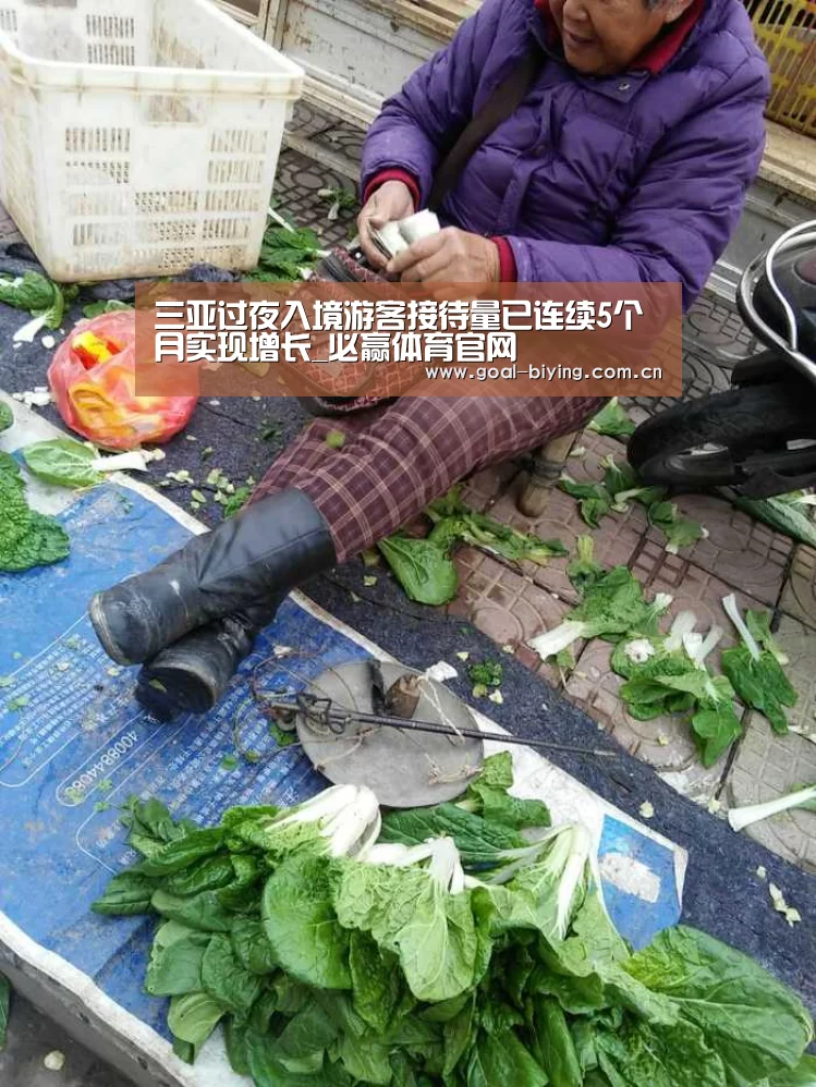 三亚过夜入境游客接待量已连续5个月实现增长_必赢体育官网(图2) 必赢亚洲网站