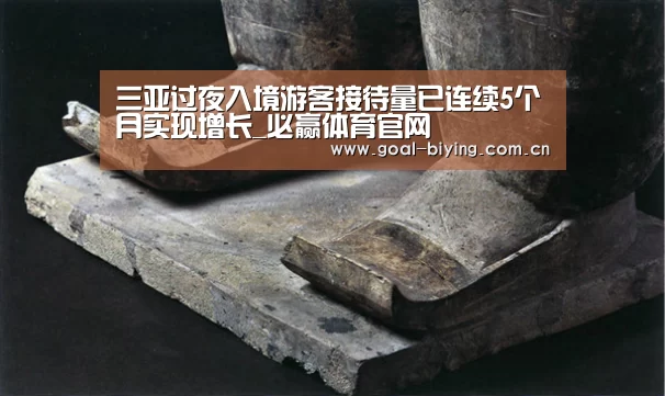 三亚过夜入境游客接待量已连续5个月实现增长_必赢体育官网(图3) 必赢亚洲网站